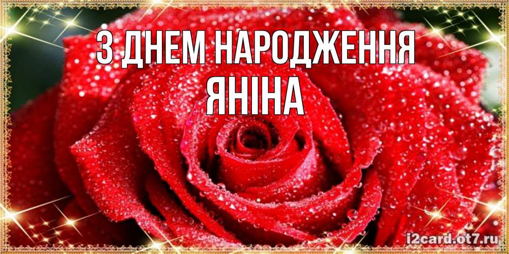 Открытка на каждый день з підписом, Яніна З Днем народження роса и роза. открытка с красивой розой Прикольна листівка з побажанням онлайн скачати безкоштовно 