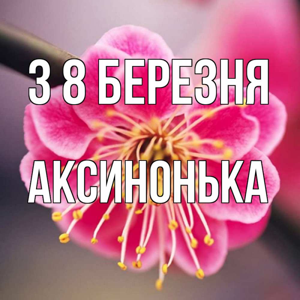 Открытка на каждый день з підписом, Аксинонька З 8 БЕРЕЗНЯ цветы Прикольна листівка з побажанням онлайн скачати безкоштовно 