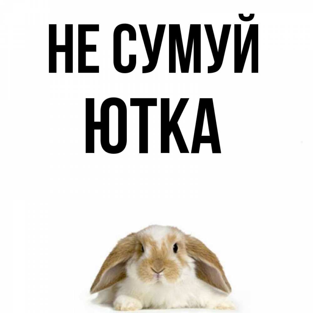 Открытка на каждый день з підписом, Ютка Не сумуй коричнево белый заяц с большими ушками Прикольна листівка з побажанням онлайн скачати безкоштовно 