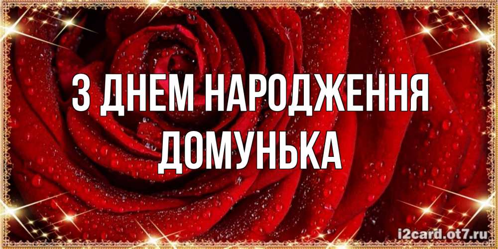 Открытка на каждый день з підписом, Домунька З Днем народження роса на розе блестящая в лучах солнца Прикольна листівка з побажанням онлайн скачати безкоштовно 