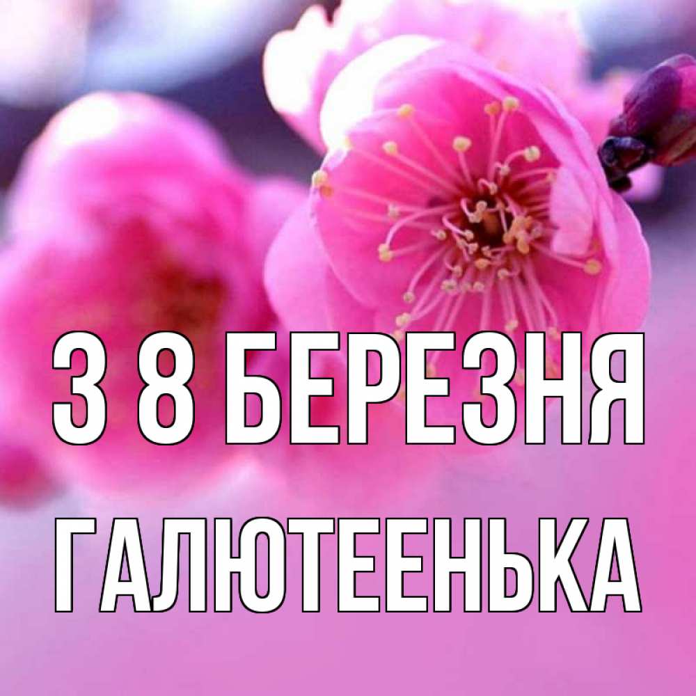 Открытка на каждый день з підписом, Галютеенька З 8 БЕРЕЗНЯ международный женский день Прикольна листівка з побажанням онлайн скачати безкоштовно 