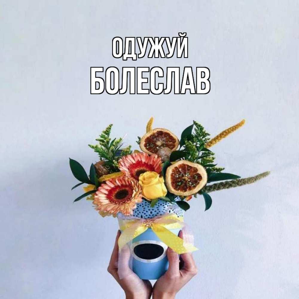 Открытка на каждый день з підписом, Болеслав Одужуй в руках букет полезный Прикольна листівка з побажанням онлайн скачати безкоштовно 