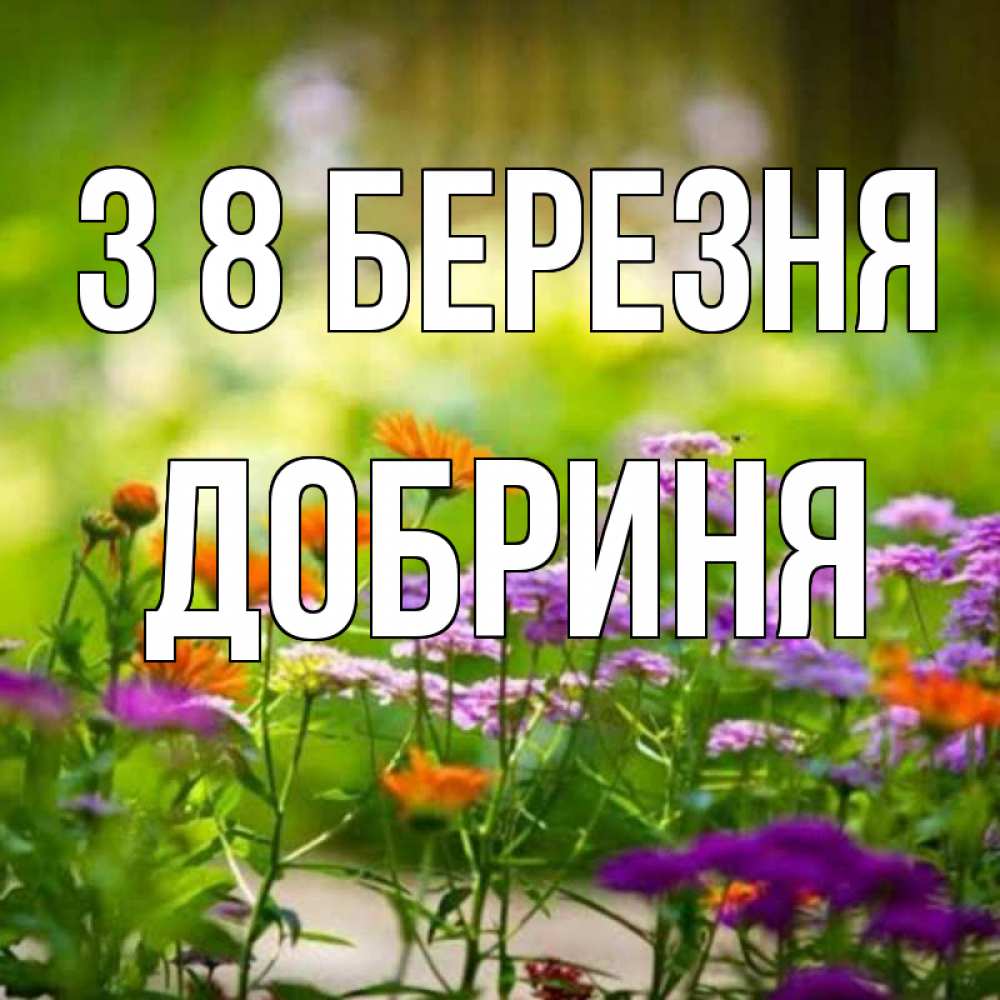 Открытка на каждый день з підписом, Добриня З 8 БЕРЕЗНЯ цветы Прикольна листівка з побажанням онлайн скачати безкоштовно 