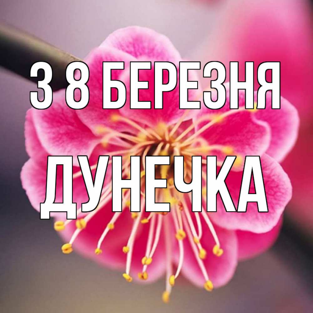 Открытка на каждый день з підписом, Дунечка З 8 БЕРЕЗНЯ цветы Прикольна листівка з побажанням онлайн скачати безкоштовно 
