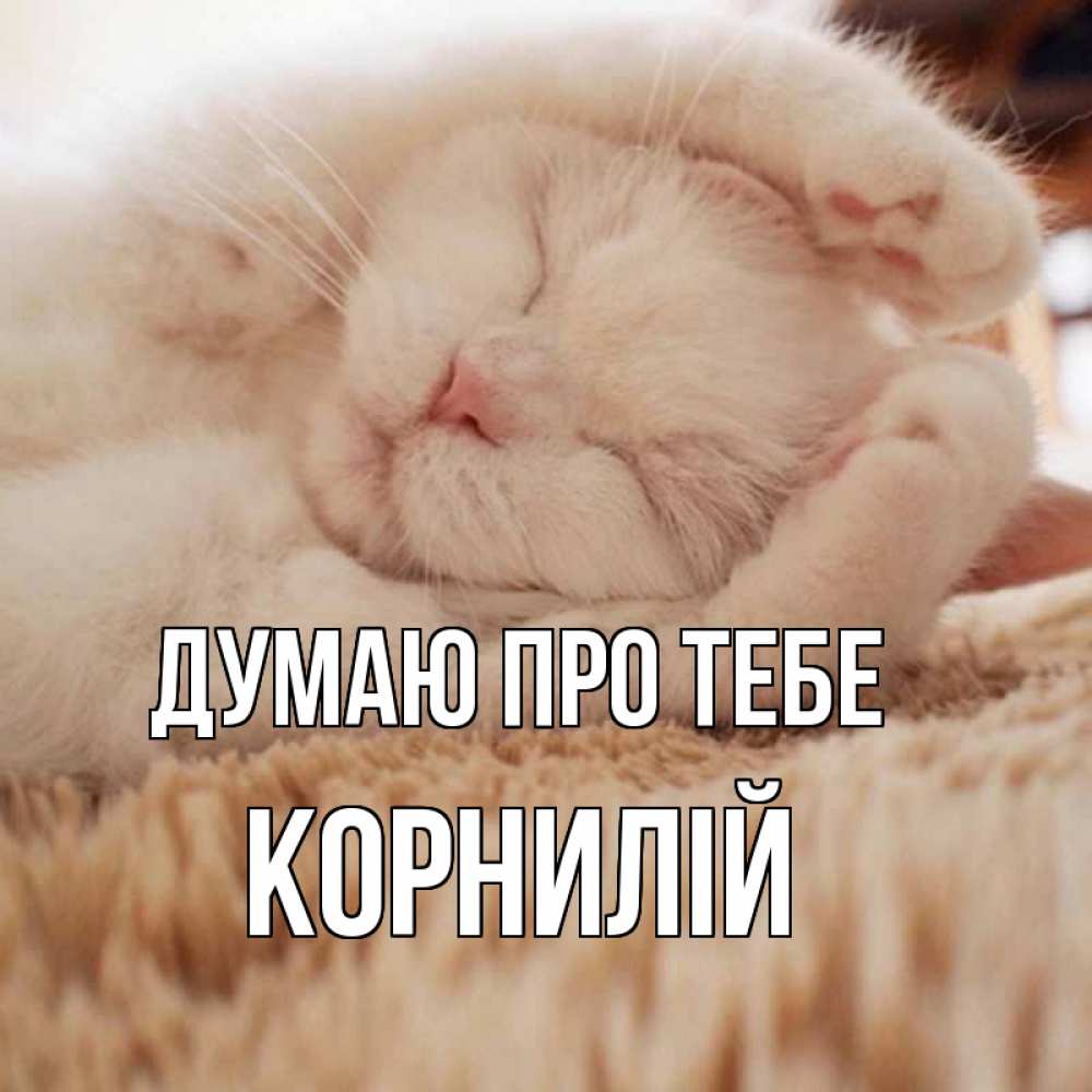 Открытка на каждый день з підписом, Корнилій Думаю про тебе для любимой девушки милота Прикольна листівка з побажанням онлайн скачати безкоштовно 