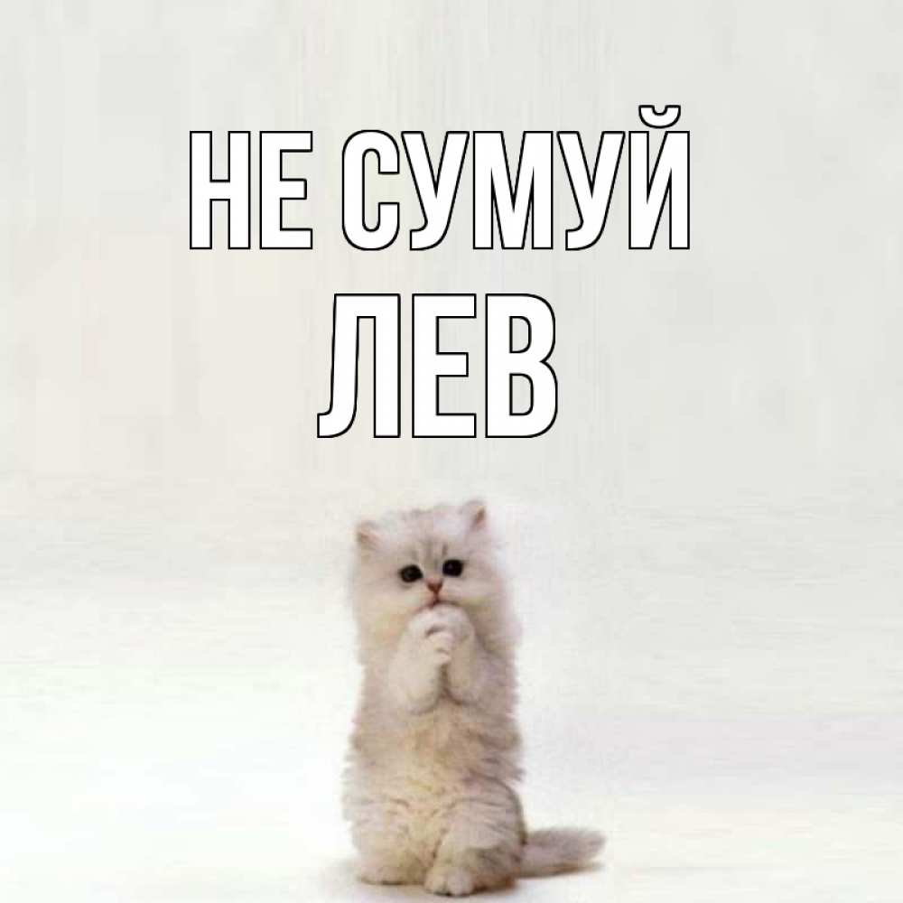 Открытка на каждый день з підписом, Лев Не сумуй грустный кот Прикольна листівка з побажанням онлайн скачати безкоштовно 