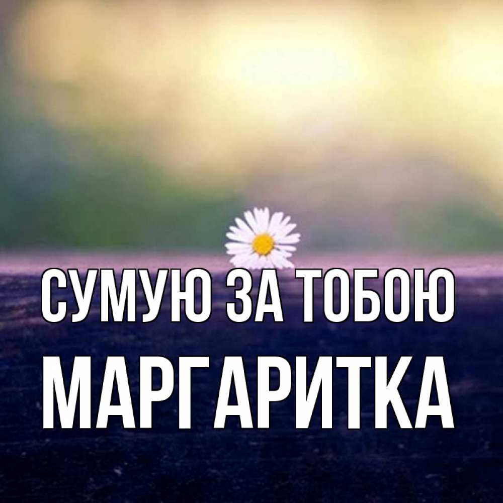 Открытка на каждый день з підписом, Маргаритка Сумую за тобою приходи в гости Прикольна листівка з побажанням онлайн скачати безкоштовно 
