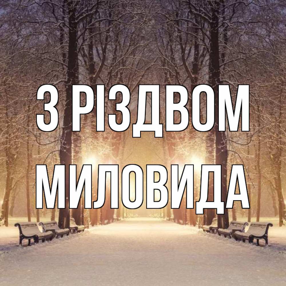 Открытка на каждый день з підписом, Миловида З Різдвом зима, парк, фонарь, лес Прикольна листівка з побажанням онлайн скачати безкоштовно 