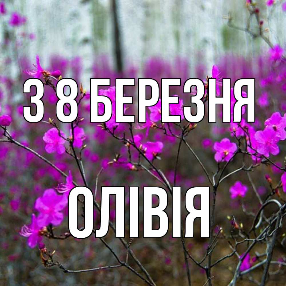 Открытка на каждый день з підписом, Олівія З 8 БЕРЕЗНЯ дикие цветы Прикольна листівка з побажанням онлайн скачати безкоштовно 