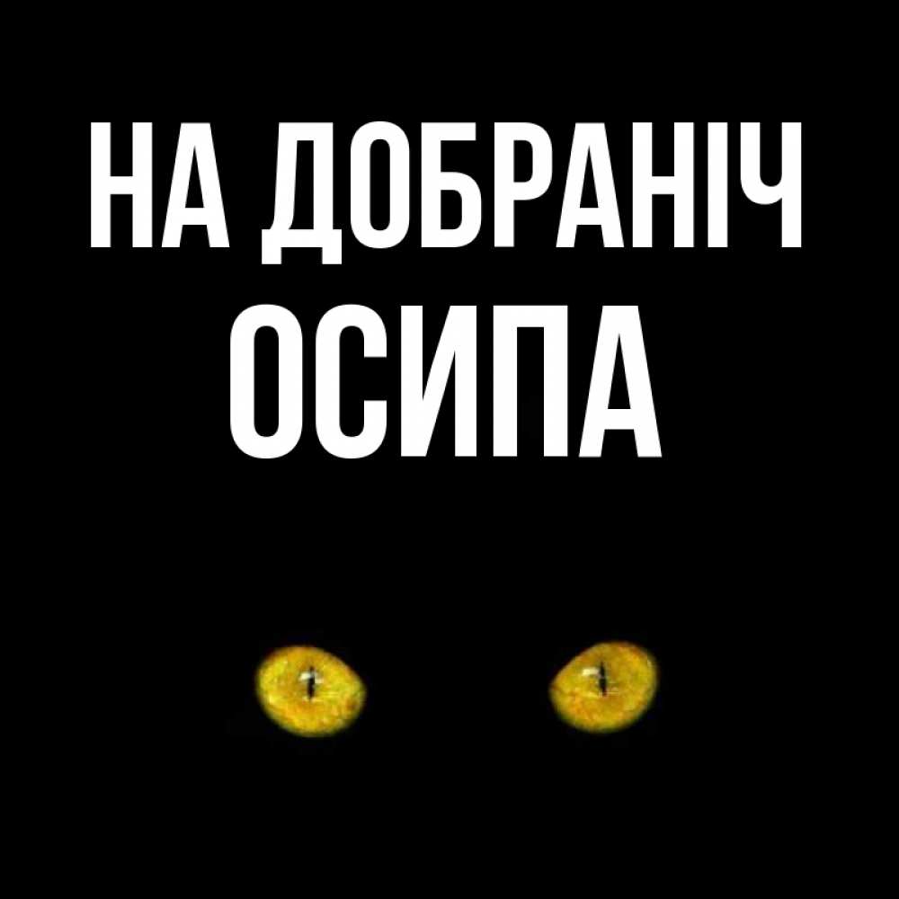 Открытка на каждый день з підписом, Осипа На добраніч сладких снов бесстрашный мой дружочек Прикольна листівка з побажанням онлайн скачати безкоштовно 