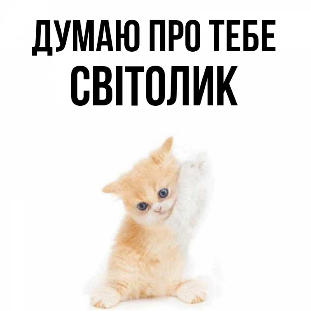 Открытка на каждый день з підписом, Світолик Думаю про тебе зверушки и милота Прикольна листівка з побажанням онлайн скачати безкоштовно 