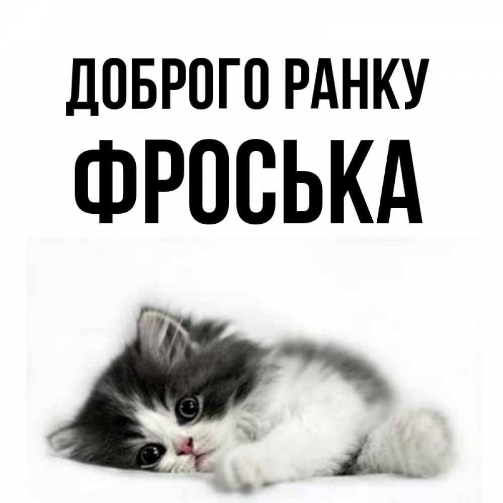 Открытка на каждый день з підписом, Фроська Доброго ранку кот лапки Прикольна листівка з побажанням онлайн скачати безкоштовно 