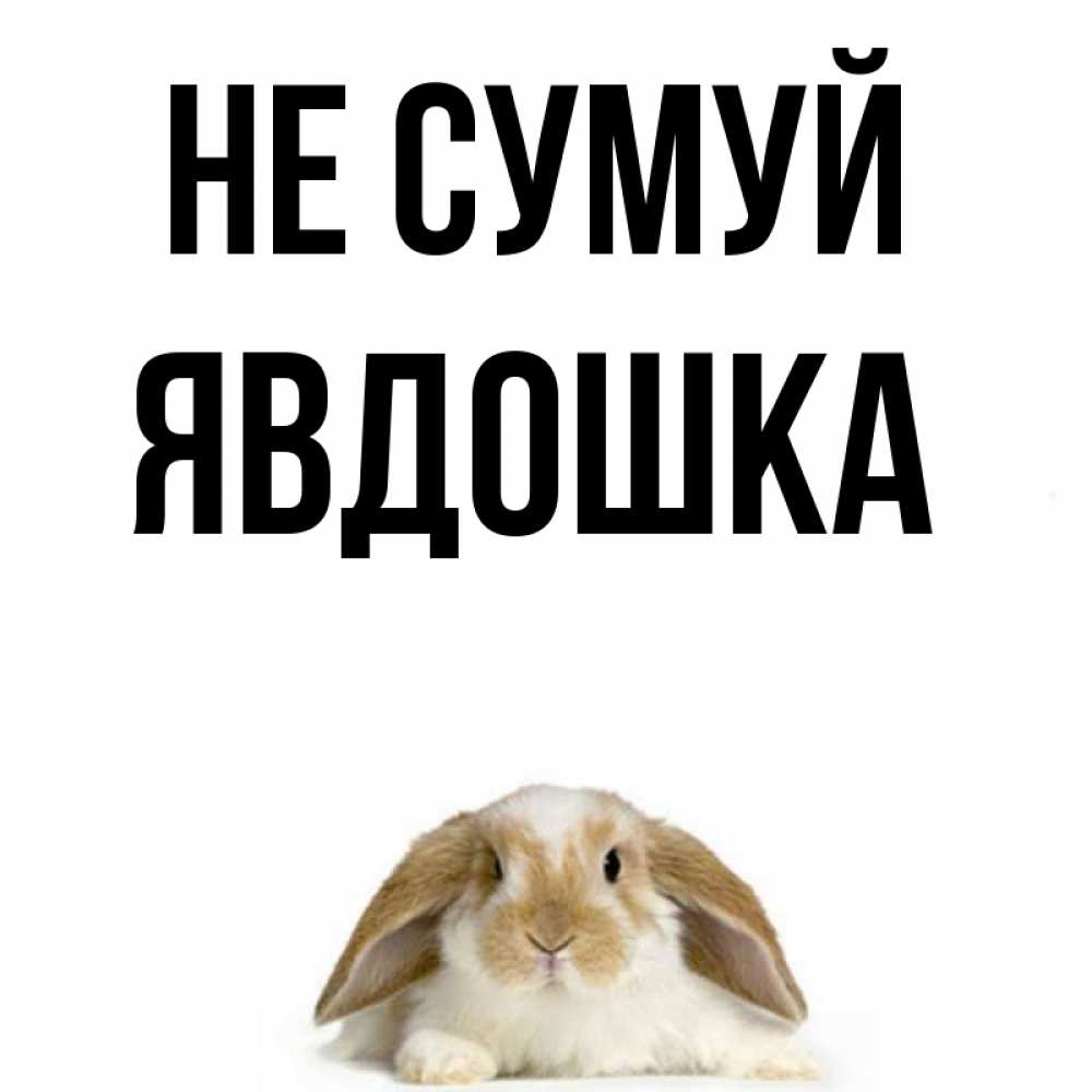 Открытка на каждый день з підписом, Явдошка Не сумуй коричнево белый заяц с большими ушками Прикольна листівка з побажанням онлайн скачати безкоштовно 