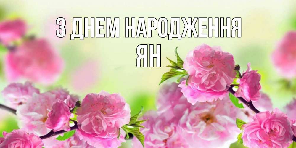 Открытка на каждый день з підписом, Ян З Днем народження веточки с цветками Прикольна листівка з побажанням онлайн скачати безкоштовно 