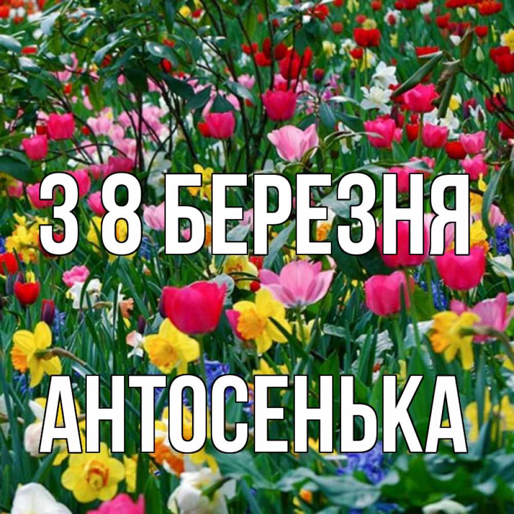 Открытка на каждый день з підписом, Антосенька З 8 БЕРЕЗНЯ с международным женским днем поздравления для женщины Прикольна листівка з побажанням онлайн скачати безкоштовно 