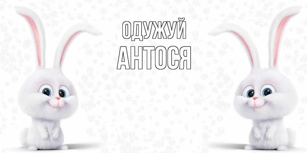 Открытка на каждый день з підписом, Антося Одужуй не болей с зайцем Прикольна листівка з побажанням онлайн скачати безкоштовно 
