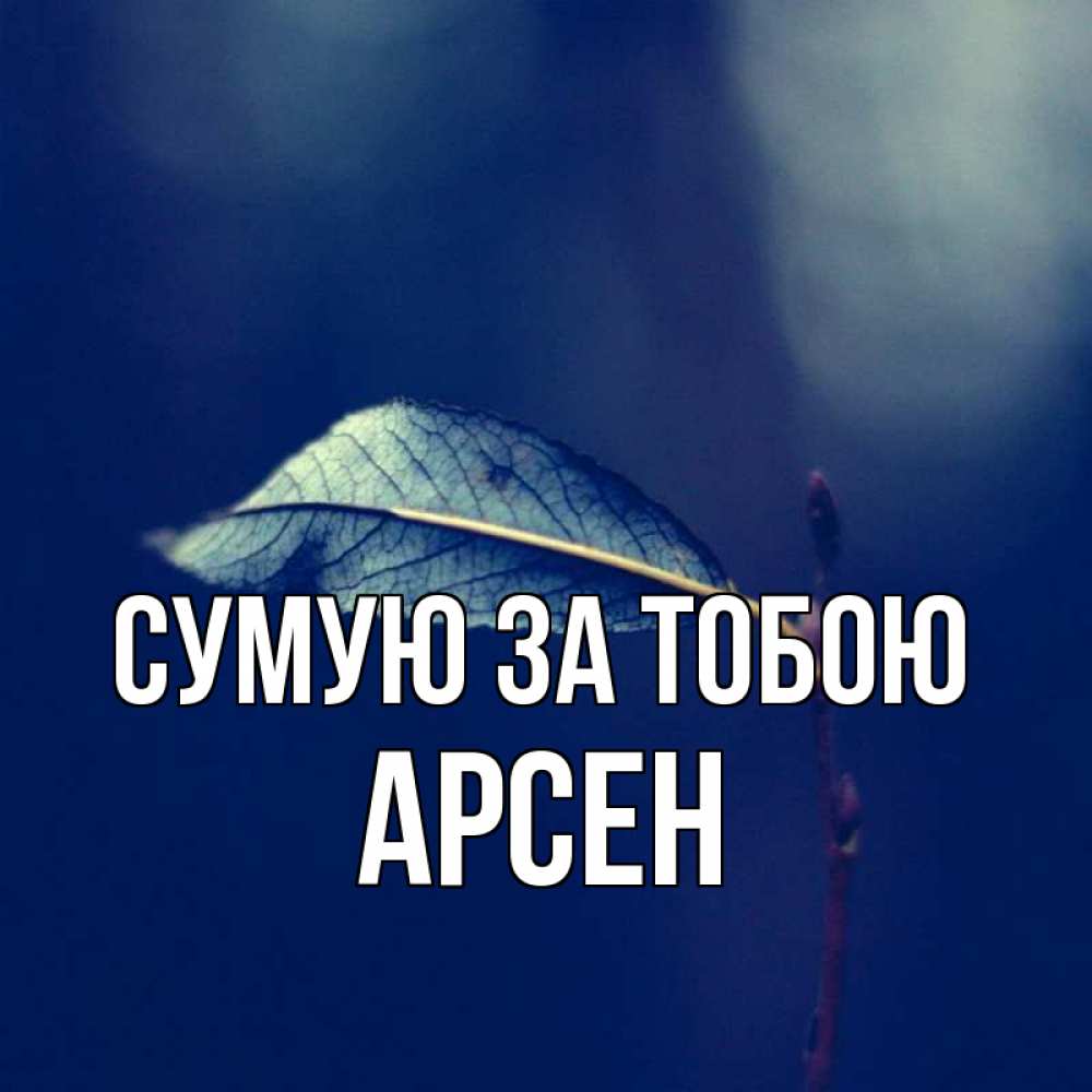 Открытка на каждый день з підписом, Арсен Сумую за тобою одна ветка 1 Прикольна листівка з побажанням онлайн скачати безкоштовно 
