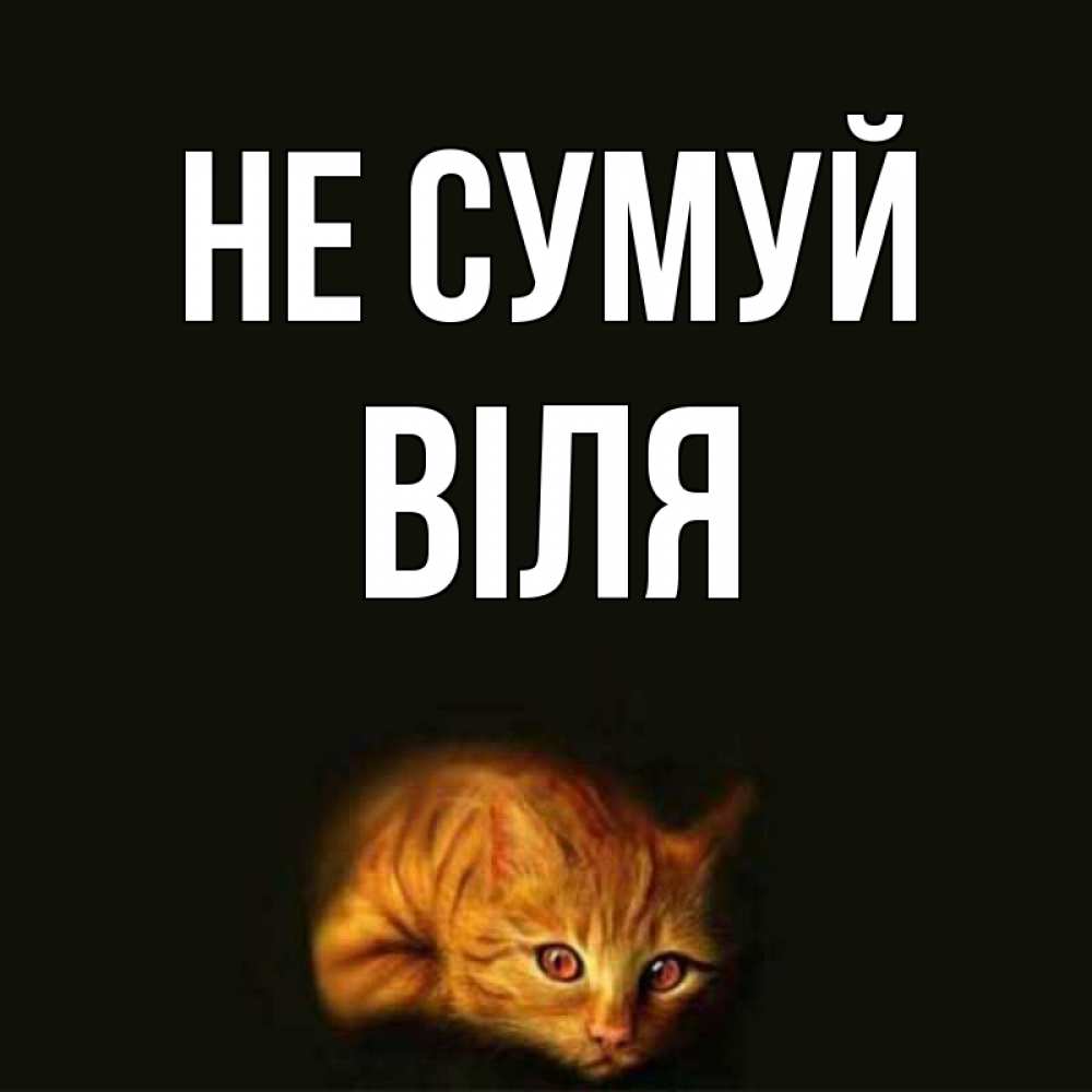 Открытка на каждый день з підписом, Віля Не сумуй лежащий кот в темноте Прикольна листівка з побажанням онлайн скачати безкоштовно 