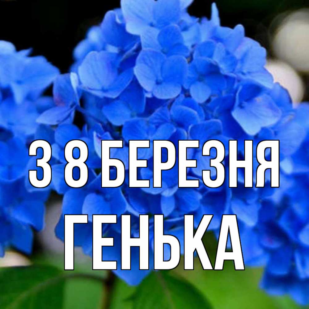 Открытка на каждый день з підписом, Генька З 8 БЕРЕЗНЯ синие цветы Прикольна листівка з побажанням онлайн скачати безкоштовно 
