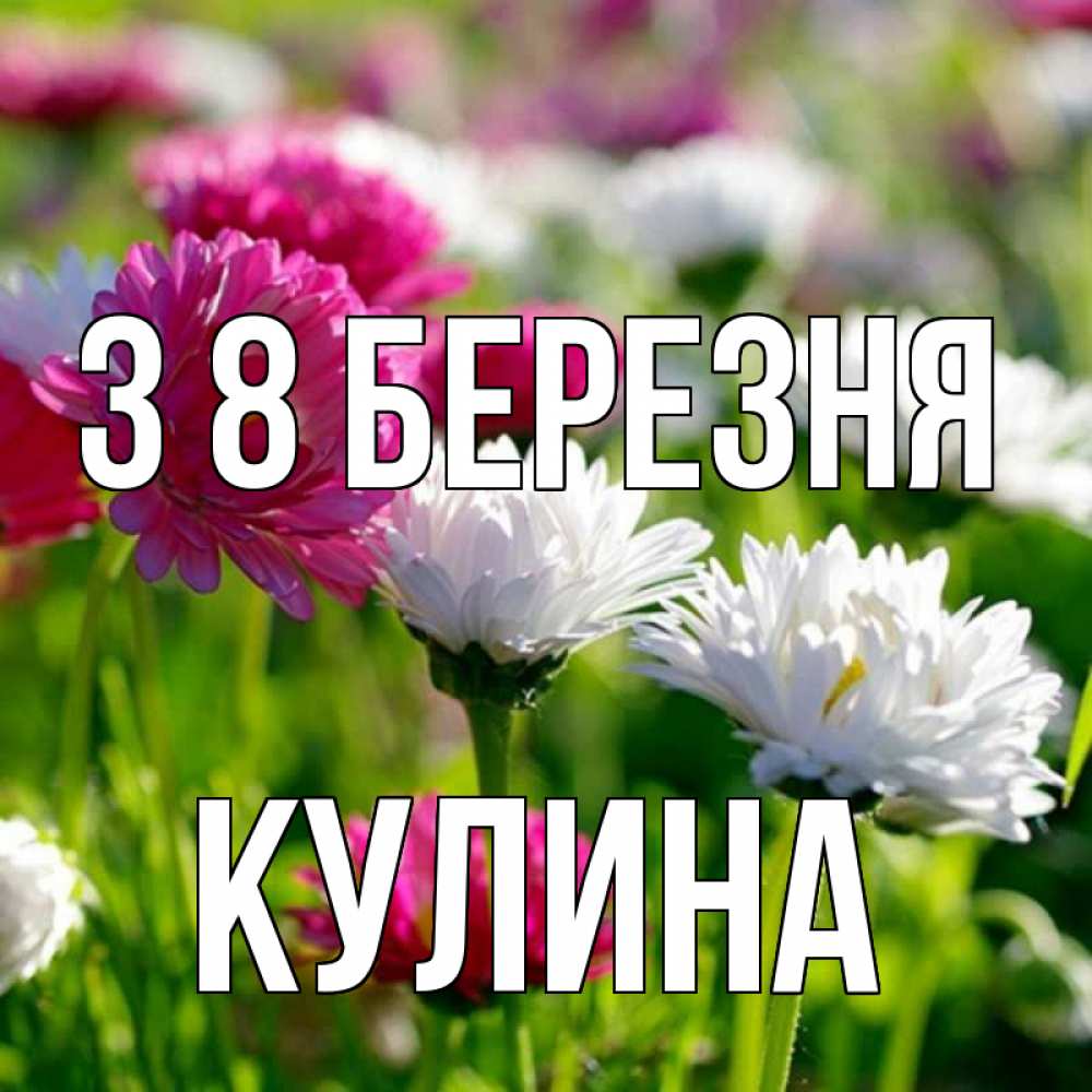 Открытка на каждый день з підписом, Кулина З 8 БЕРЕЗНЯ международный женский день 1 Прикольна листівка з побажанням онлайн скачати безкоштовно 