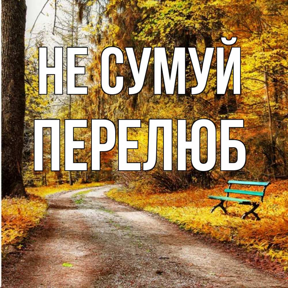Открытка на каждый день з підписом, Перелюб Не сумуй зеленая лавочка Прикольна листівка з побажанням онлайн скачати безкоштовно 