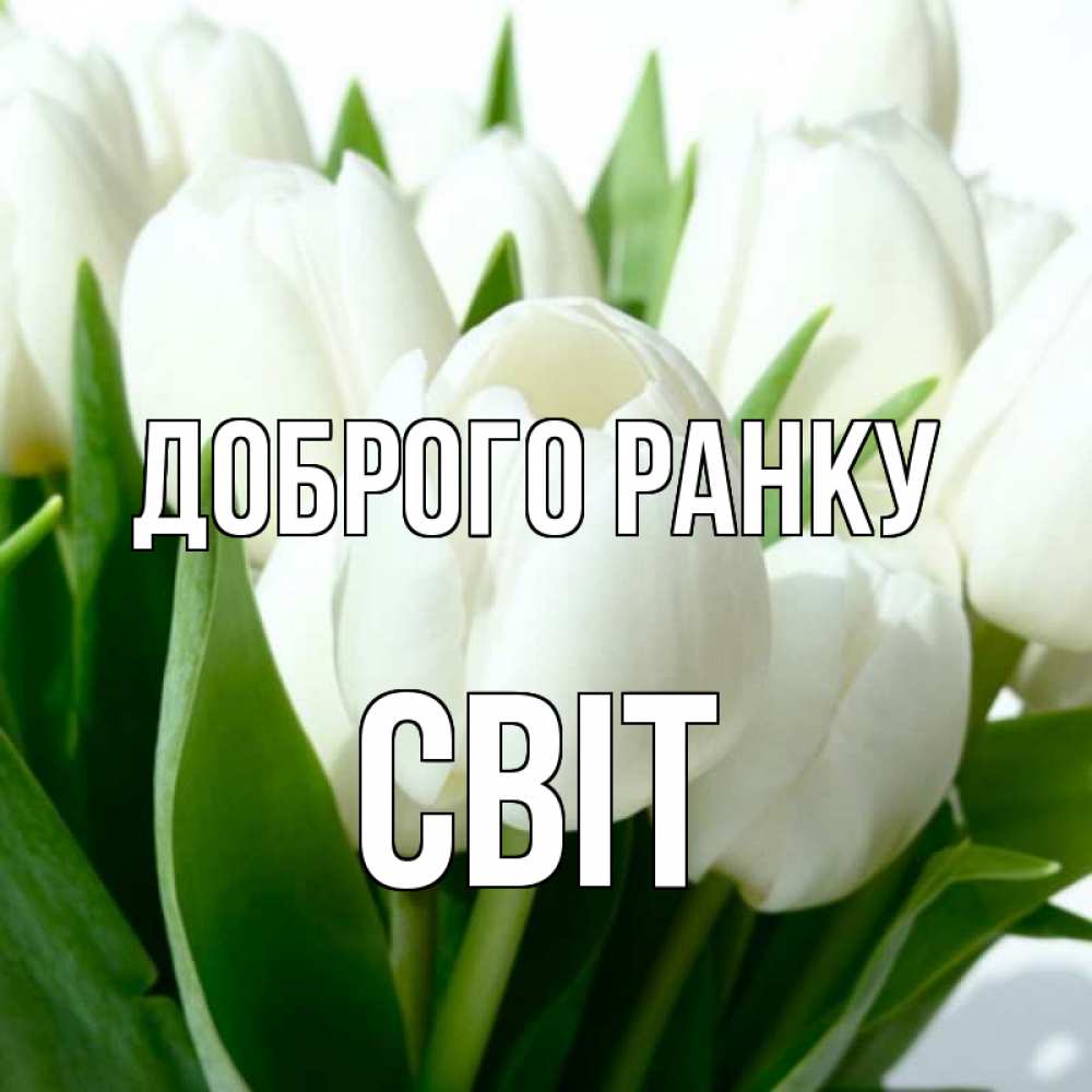 Открытка на каждый день з підписом, Світ Доброго ранку открытки на каждый день по именам Прикольна листівка з побажанням онлайн скачати безкоштовно 