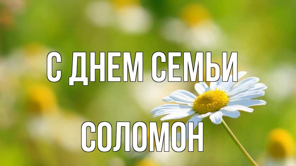 Открытка на каждый день з підписом, Соломон С днем семьи с днем семьи  1 Прикольна листівка з побажанням онлайн скачати безкоштовно 