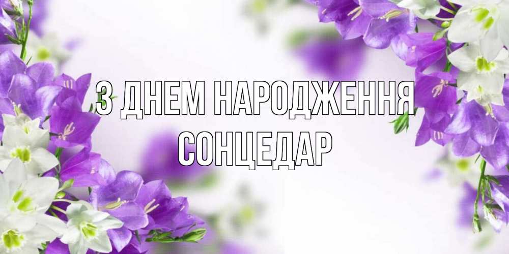 Открытка на каждый день з підписом, Сонцедар З Днем народження открытка на день рождения с сиреневыми цветами Прикольна листівка з побажанням онлайн скачати безкоштовно 
