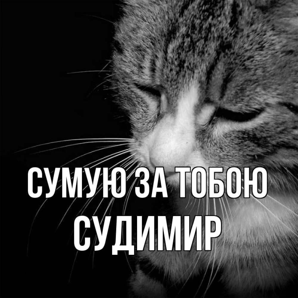 Открытка на каждый день з підписом, Судимир Сумую за тобою мне скучно Прикольна листівка з побажанням онлайн скачати безкоштовно 