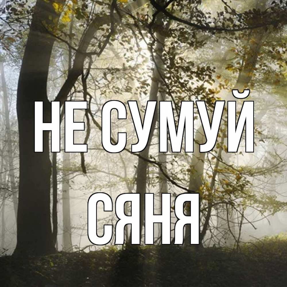 Открытка на каждый день з підписом, Сяня Не сумуй лес и свет Прикольна листівка з побажанням онлайн скачати безкоштовно 