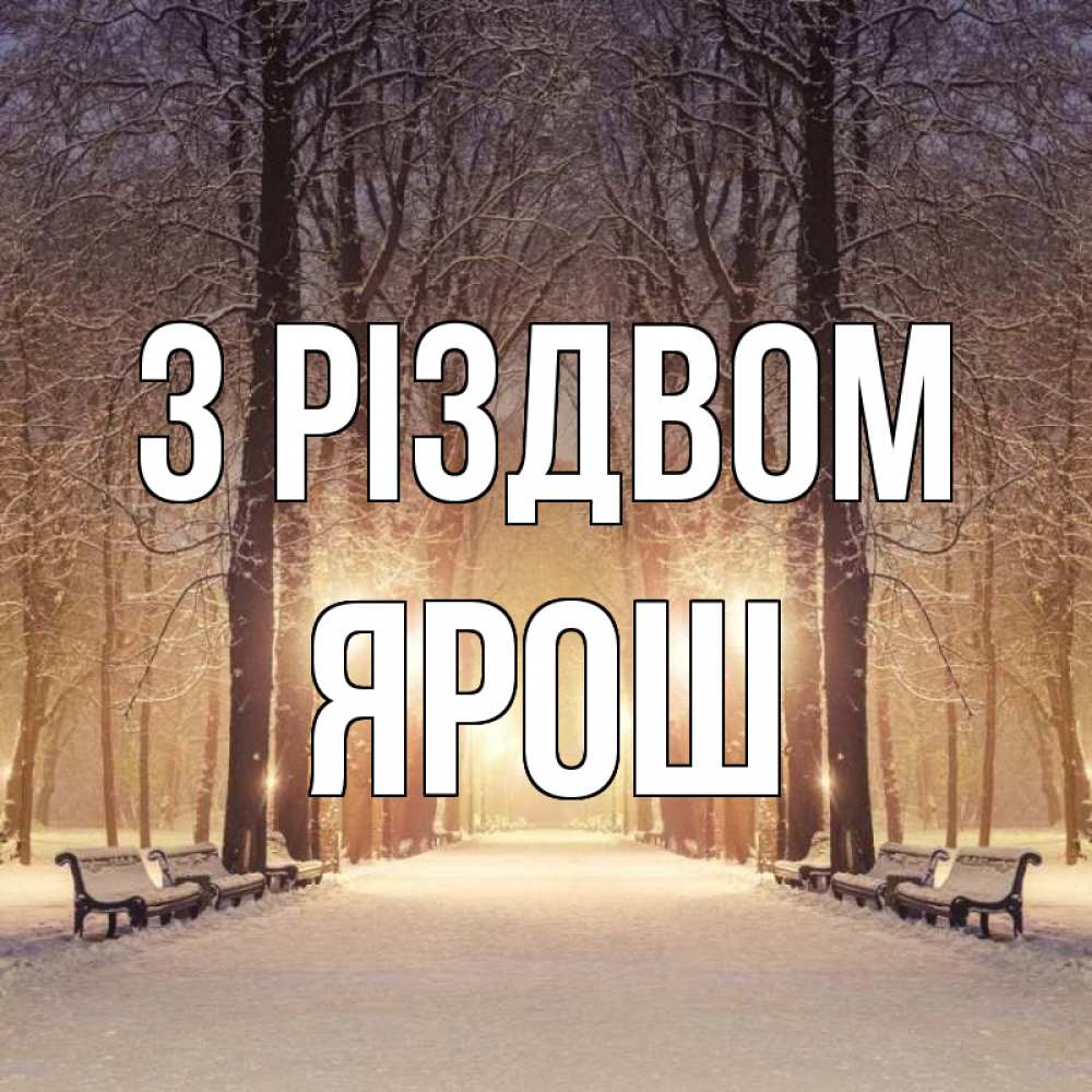 Открытка на каждый день з підписом, Ярош З Різдвом зима, парк, фонарь, лес Прикольна листівка з побажанням онлайн скачати безкоштовно 