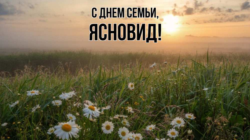 Открытка на каждый день з підписом, Ясновид С днем семьи с днем семьи Прикольна листівка з побажанням онлайн скачати безкоштовно 