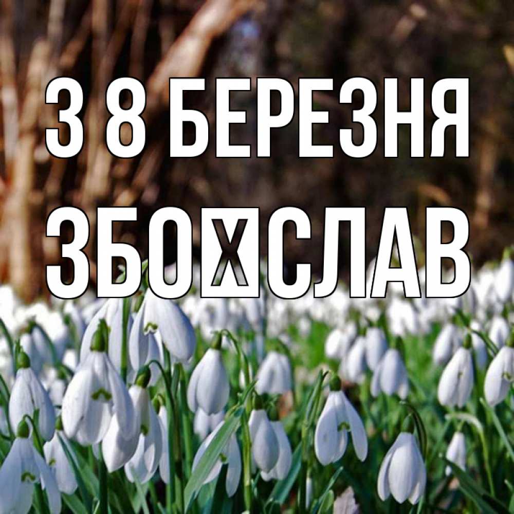Открытка на каждый день з підписом, Збоїслав З 8 БЕРЕЗНЯ с подснежниками 1 Прикольна листівка з побажанням онлайн скачати безкоштовно 