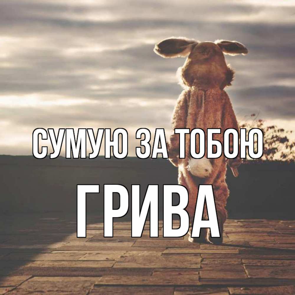 Открытка на каждый день з підписом, Грива Сумую за тобою даже в костюме зайца Прикольна листівка з побажанням онлайн скачати безкоштовно 