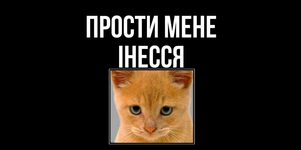 Открытка на каждый день з підписом, Інесся Прости мене рыжий грустный кот просит прощения Прикольна листівка з побажанням онлайн скачати безкоштовно 