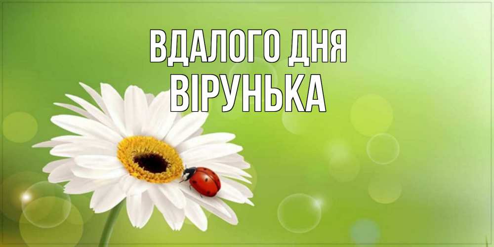 Открытка на каждый день з підписом, Вірунька Вдалого дня зеленый фон и ромашка Прикольна листівка з побажанням онлайн скачати безкоштовно 