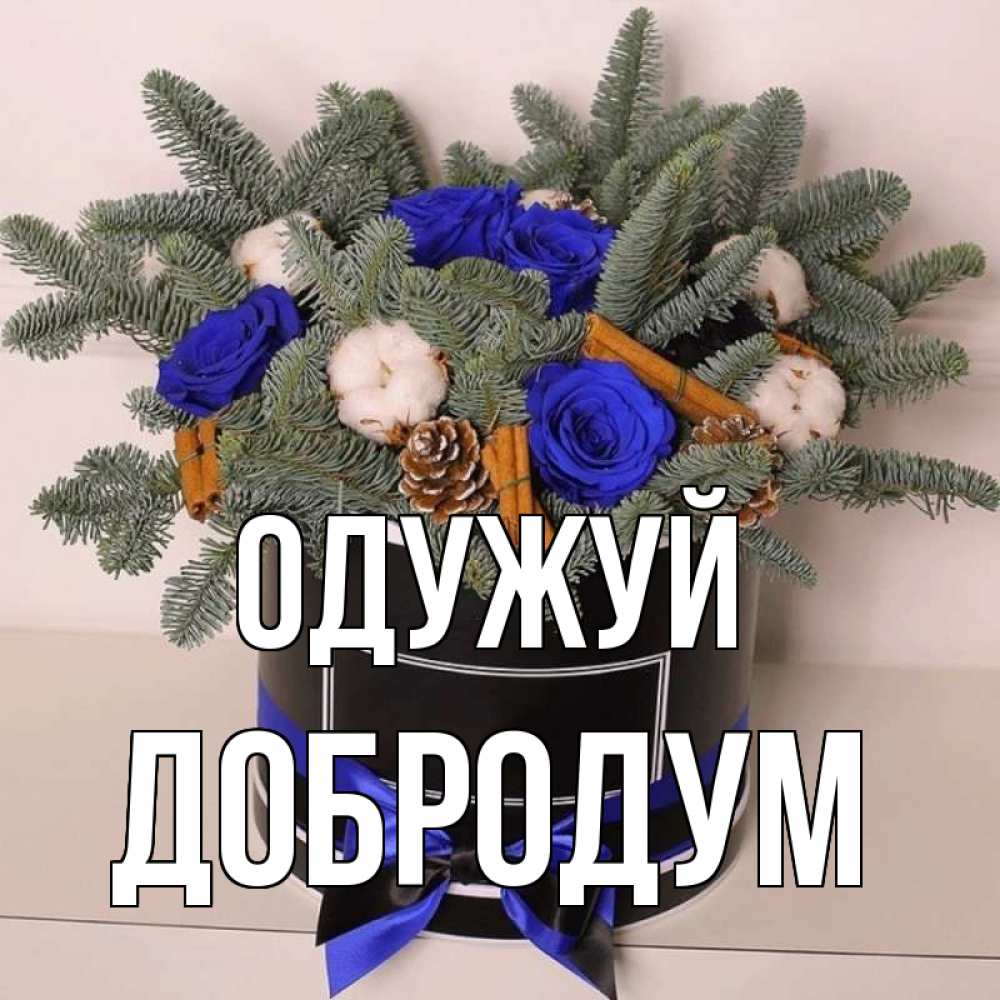 Открытка на каждый день з підписом, Добродум Одужуй короче кто то загрузил эти шишки Прикольна листівка з побажанням онлайн скачати безкоштовно 