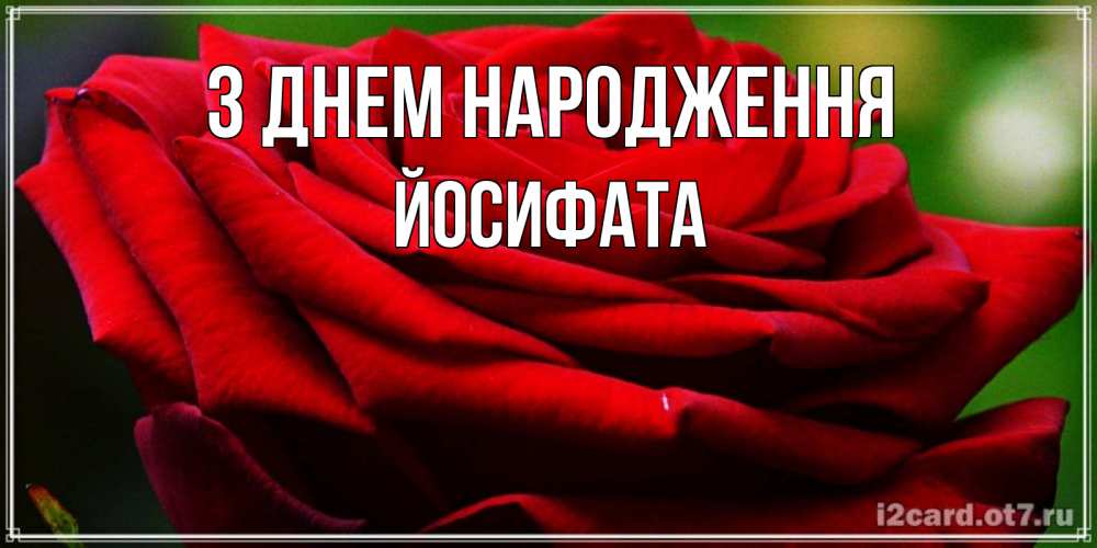 Открытка на каждый день з підписом, Йосифата З Днем народження розочка очень красивая Прикольна листівка з побажанням онлайн скачати безкоштовно 