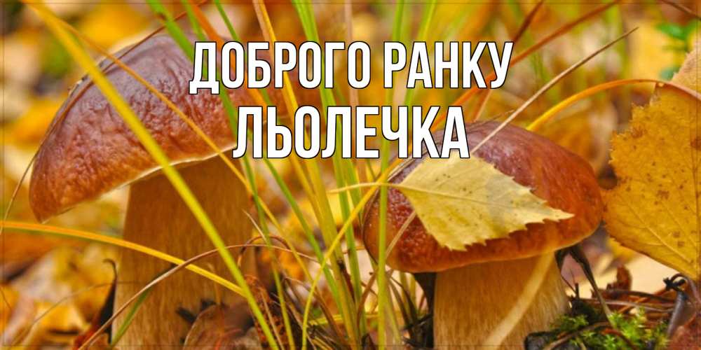 Открытка на каждый день з підписом, Льолечка Доброго ранку осенние грибы Прикольна листівка з побажанням онлайн скачати безкоштовно 