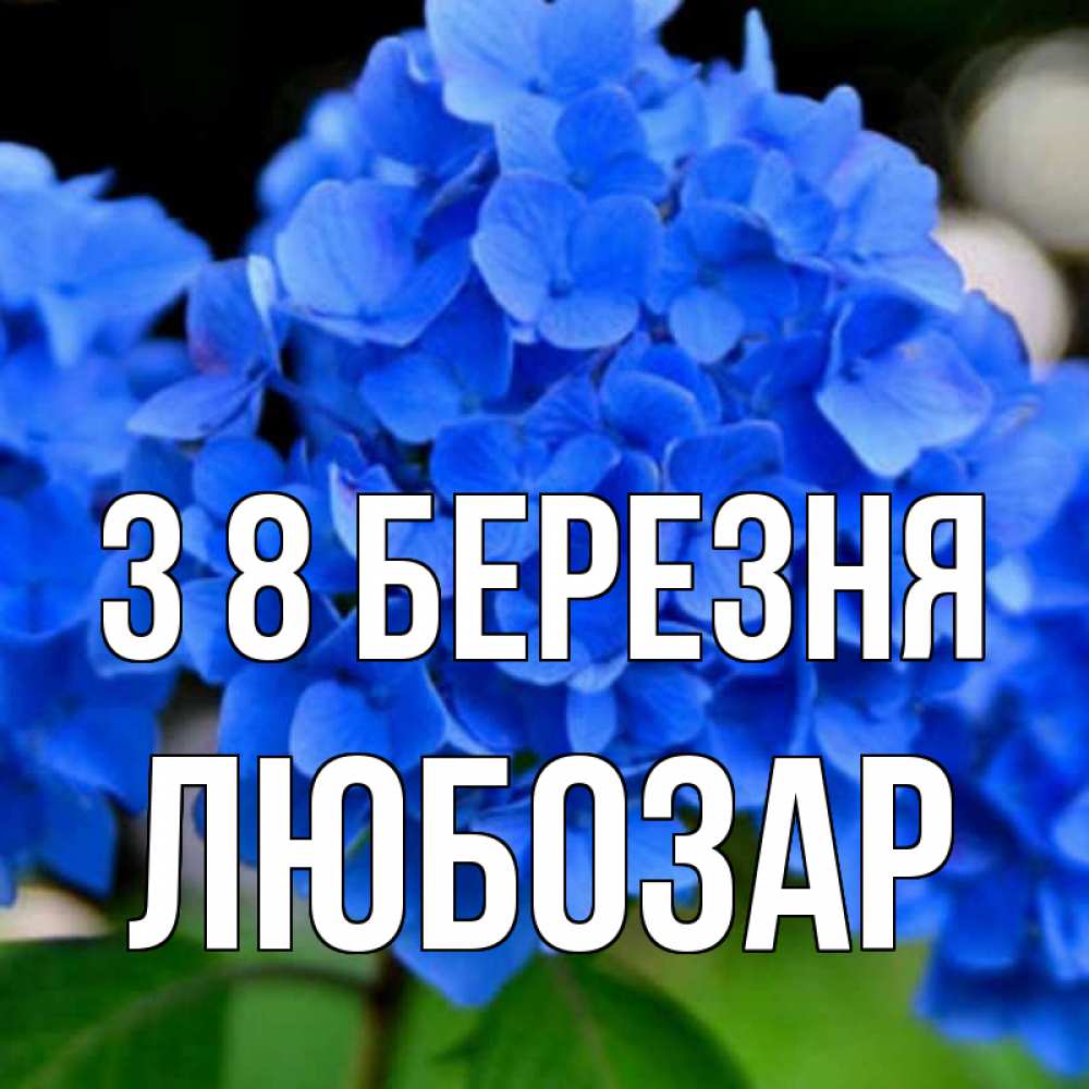 Открытка на каждый день з підписом, Любозар З 8 БЕРЕЗНЯ синие цветы Прикольна листівка з побажанням онлайн скачати безкоштовно 