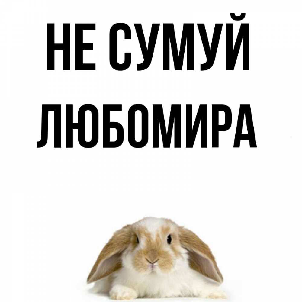 Открытка на каждый день з підписом, Любомира Не сумуй коричнево белый заяц с большими ушками Прикольна листівка з побажанням онлайн скачати безкоштовно 