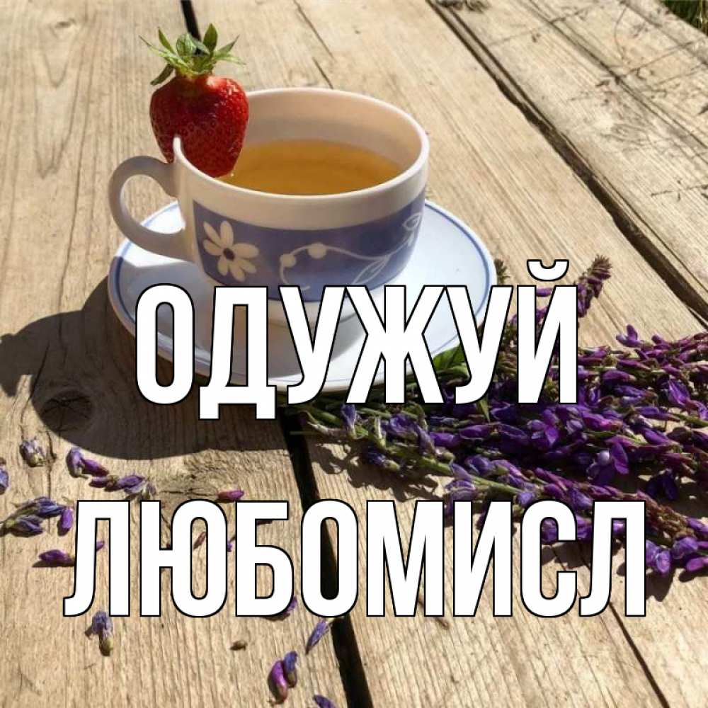 Открытка на каждый день з підписом, Любомисл Одужуй чай Прикольна листівка з побажанням онлайн скачати безкоштовно 