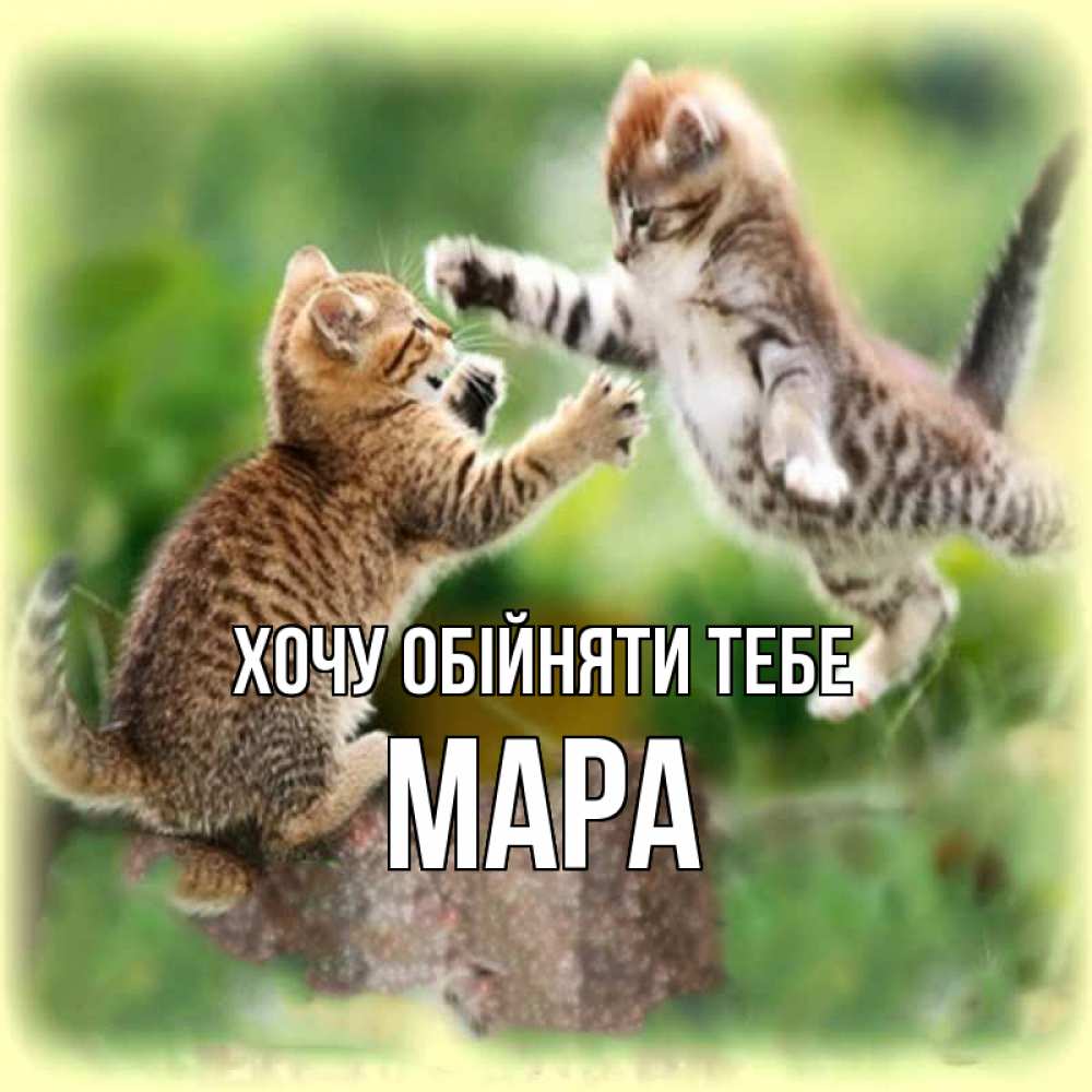 Открытка на каждый день з підписом, Мара Хочу обійняти тебе игры котят Прикольна листівка з побажанням онлайн скачати безкоштовно 