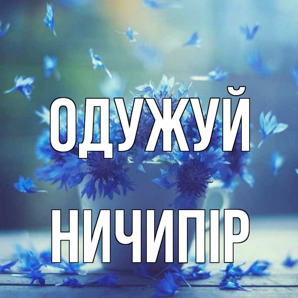 Открытка на каждый день з підписом, Ничипір Одужуй кружка с зельем и цветами Прикольна листівка з побажанням онлайн скачати безкоштовно 