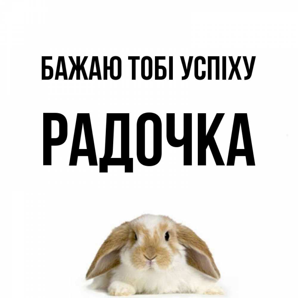 Открытка на каждый день з підписом, Радочка Бажаю тобі успіху открытки с произвольным текстом который можно вставить в открытку и создать ее самостоятельно бесплатно онлайн Прикольна листівка з побажанням онлайн скачати безкоштовно 