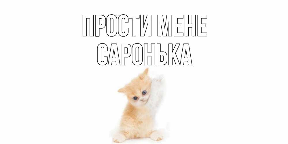 Открытка на каждый день з підписом, Саронька Прости мене кот Прикольна листівка з побажанням онлайн скачати безкоштовно 