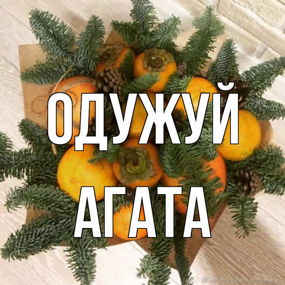 Открытка на каждый день з підписом, Агата Одужуй апельсины и хурьма Прикольна листівка з побажанням онлайн скачати безкоштовно 