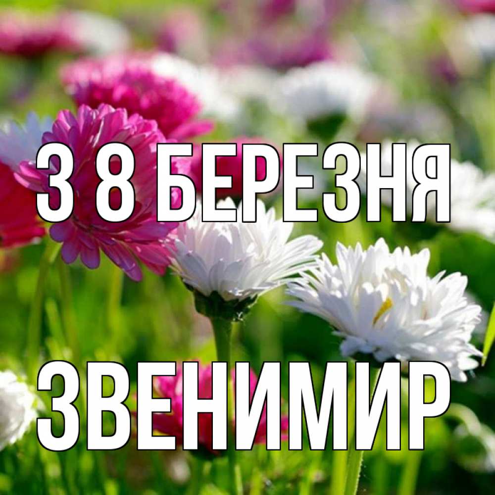 Открытка на каждый день з підписом, Звенимир З 8 БЕРЕЗНЯ международный женский день 1 Прикольна листівка з побажанням онлайн скачати безкоштовно 