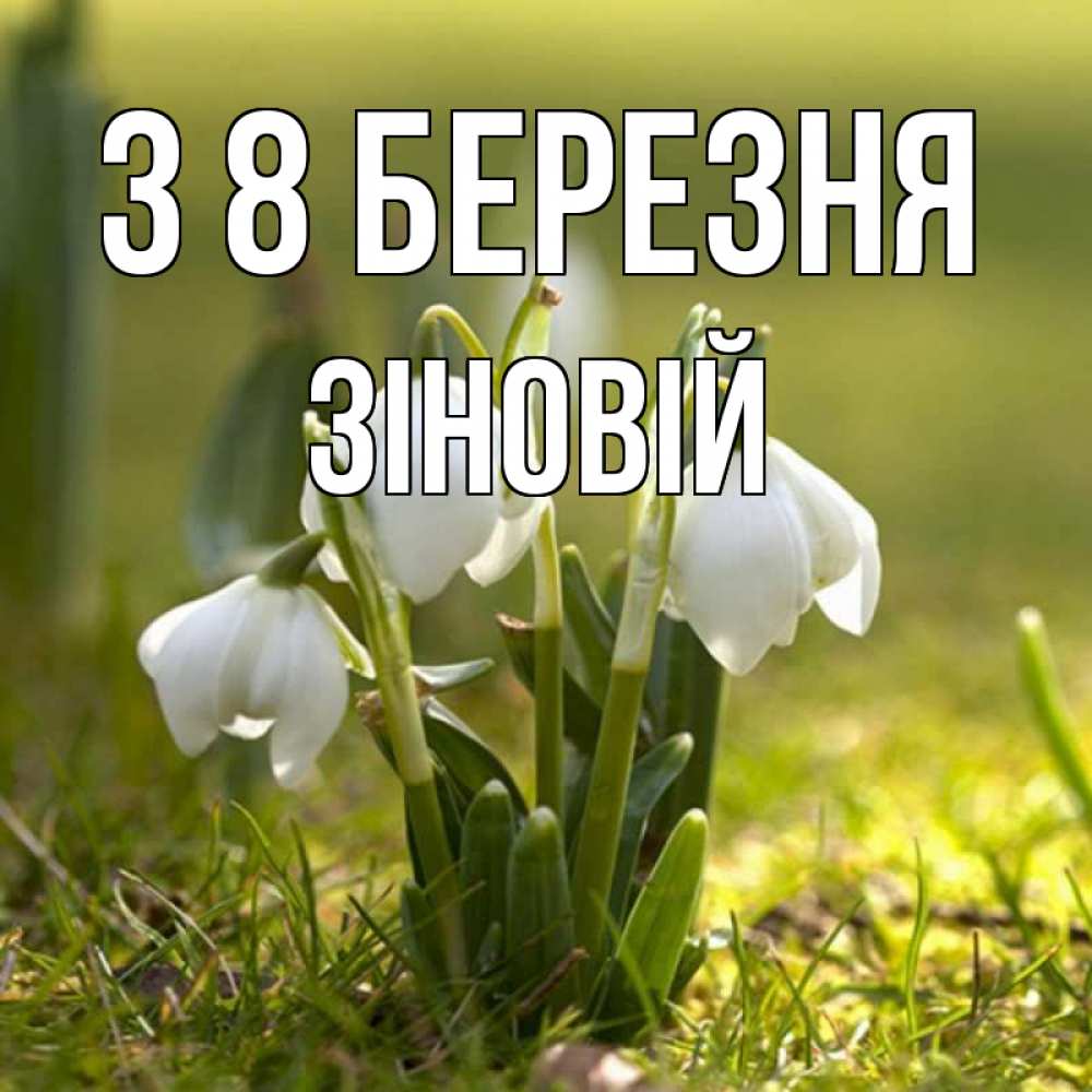 Открытка на каждый день з підписом, Зіновій З 8 БЕРЕЗНЯ ранние цветы 2 Прикольна листівка з побажанням онлайн скачати безкоштовно 