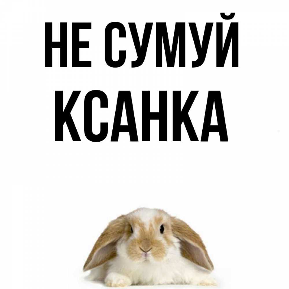 Открытка на каждый день з підписом, Ксанка Не сумуй коричнево белый заяц с большими ушками Прикольна листівка з побажанням онлайн скачати безкоштовно 